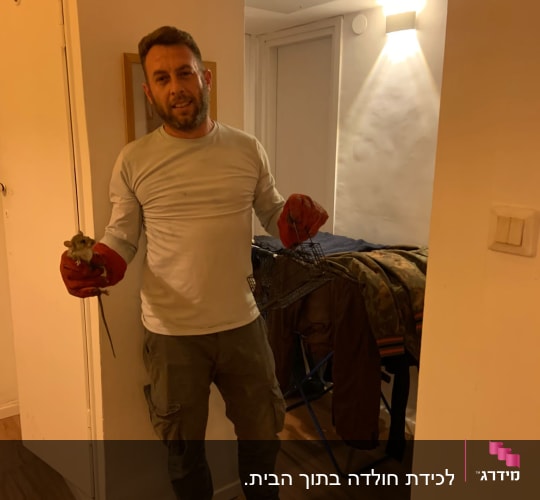 אדם עם כפפות אדומות מחזיק מלכודת עכברים